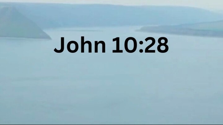 John 10:28