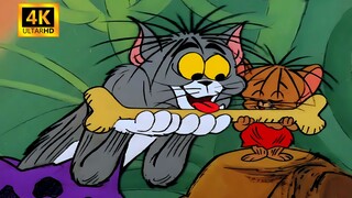 เทคโนโลยีชั้นสูงทำให้เกิดปัญหา - Tom and Jerry ในภาษาเสฉวน P111 [การฟื้นฟู 4K]