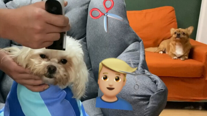 A Haircut for Juanjuan