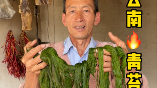 Moss delicacies in the mountains of Yunnan
