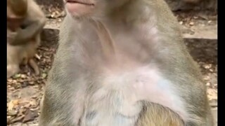 现在的都这样吗 (8)