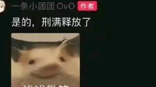 Di sudut di mana tidak ada seorang pun yang memperhatikan, seorang gadis kecil dibebaskan dari penja