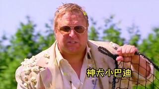 聪明金毛智斗狗贩子，太搞笑了《神犬小巴迪》