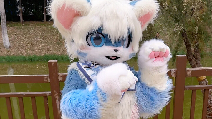 Can I get followers just by casually moving around?