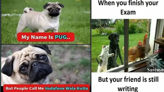 😂School Memes😂🤣เฮฮามีม🤣😆Relatable Memes😆😁Memes ที่มีแต่นักเรียนเท่านั้นที่จะเข้าใจ😄412