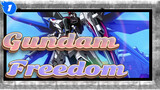 Gundam-Freedom_O1