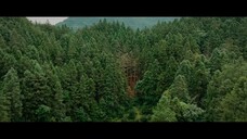 π―πΎππ π
πΆπΎπΉπππ πΈπ
π. 01