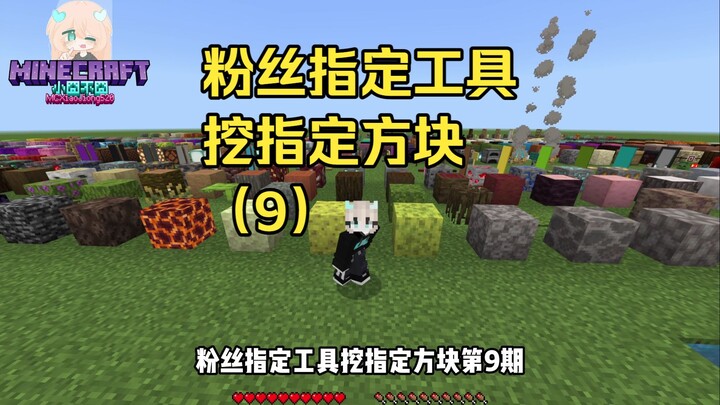 [Minecraft] Fan-Requested Tool to Mine Specified Blocks (9)