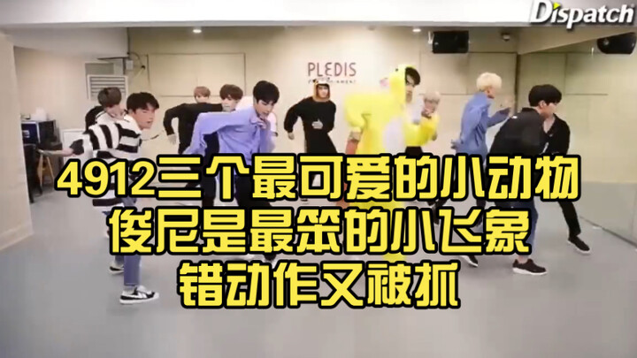 4912三个最可爱的小动物｜俊尼是最笨的小飞象 错动作又被抓