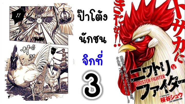 ป๋าโต้งนักชน จิกที่ 3 ไก่กรุงมุ่งถิ่นใต้ ดั่งไปเล้าใกล้ๆ : ROOSTSR FIGHTER เล่ามังงะ @TAR Sport