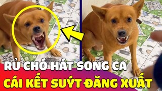 Cảm động chú chó đệm lời VÌ MẸ ANH BẮT CHIA TAY, bắn hẳn đoạn Rap bằng TIẾNG CHÓ cực ngầu 🤣 Gâu Đần