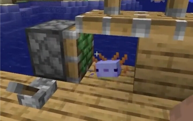 Kali ini hanya ada axolotl dan penduduk desa “A-san”, tidak ada golem besi (tetap saja tidak disaran