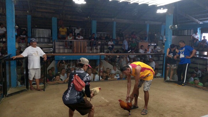 1fight 04/14/24 loss naunahan talisayin natin at pang samposya talisay na dipalomusot malas kulay