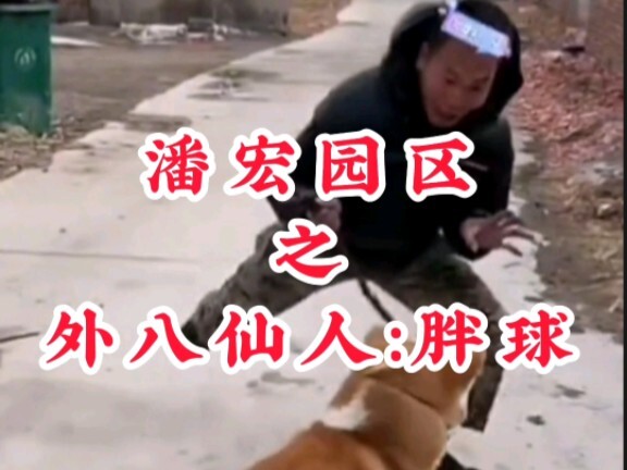 แปดเซียนนอกเขตสวนพานหง: ลูกบอลอ้วน