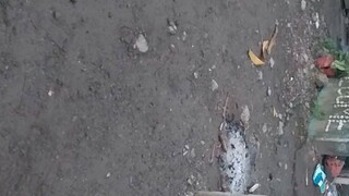 kilso mag Kapatid sa nanay iba Ang tatay