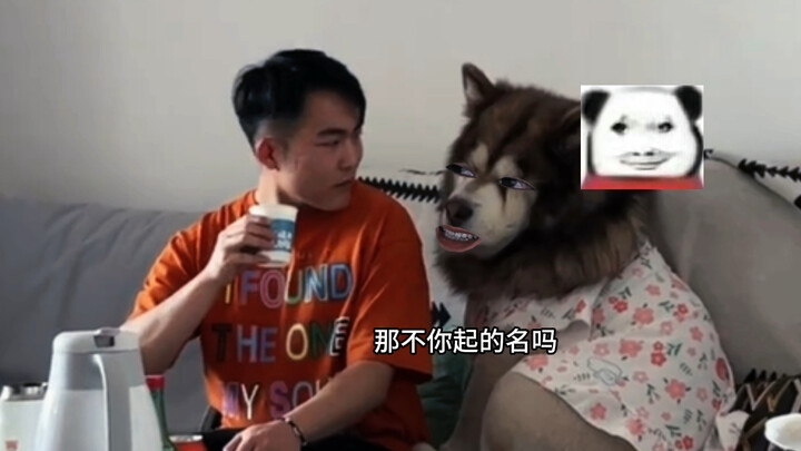 Dog: Why are you so distant today?