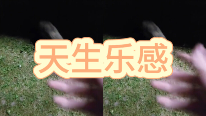 สุ่มเลือกน้องแมวตัวหนึ่งมาดวลบีทบ็อกซ์กับฉัน!