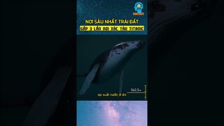 Sự thật về nơi sâu nhất trái đất? Rãnh Mariana #shorts #trithuc+ #trithucplus