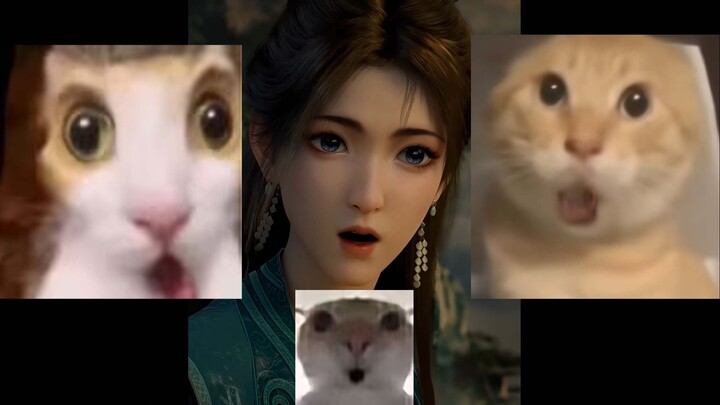 BYD membuatku tertawa geli