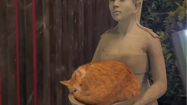 Haha, here’s a big orange—time to wake up and go to work, nine-to-five!