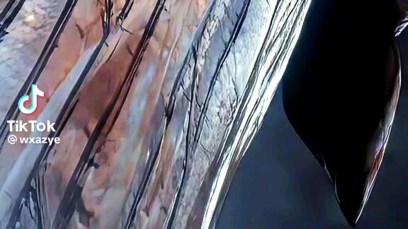 Mitsuri almost died 😭