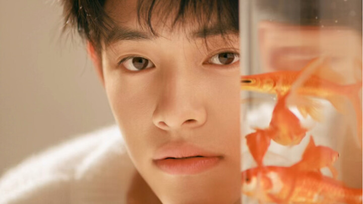 เมื่อฉันเงยหน้าขึ้น คุณก็กำลังมองมาที่ฉันอยู่