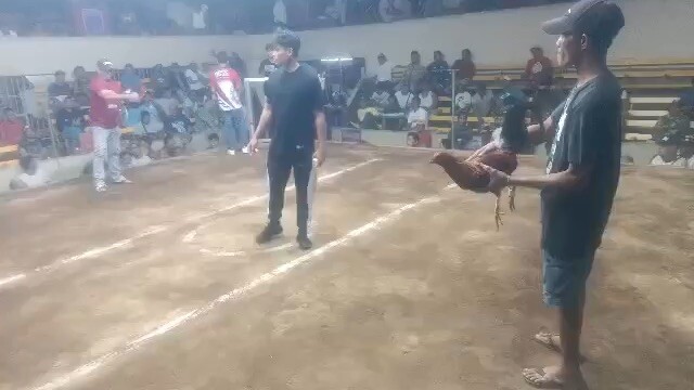 Prime (March 21,2026)