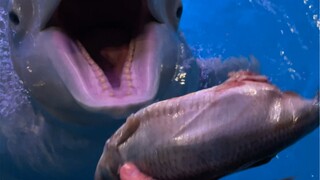 การสื่อสารที่ไร้อุปสรรค