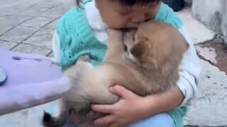 The favorite puppy in childhood