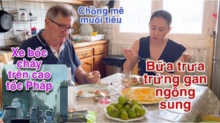 Bữa trưa gan ngỗng trứng/chồng mê muối tiêu/cháy xe nhà di động trên cao tốc Pháp/Cuộc sống pháp