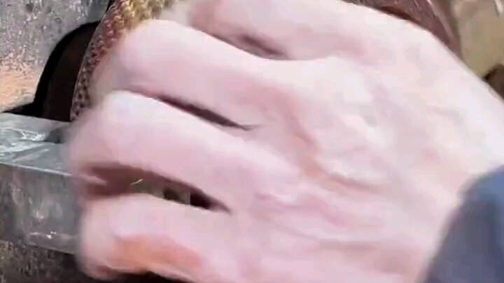 تم تفريغ علبة الشاي بالكامل!