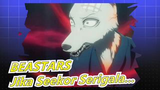 BEASTARS
Jika Seekor Serigala...