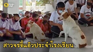 "นวล" สาวจรขี้แอ๊วประจำโรงเรียน  | Dog's Clip