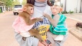 Relax Time Mom Bring Both Baby Monkey Maya & Kham Pae Visit Outside The House