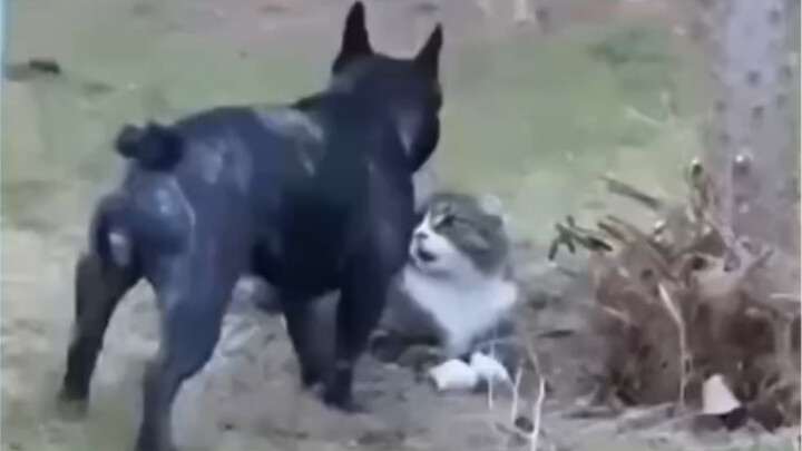 《Đập cho tôi》