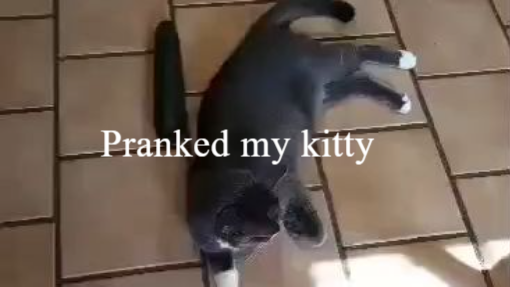 received_480549813831737~2