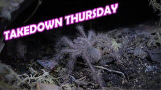 Takedown Thursday | Vlog#27