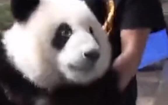 เมิงหลัน แค่หกสิบกว่าจินเองเหรอ? เป็นอะไรไปเนี่ย ฉันไม่ได้กินข้าวของบ้านเธอสักหน่อย 😂