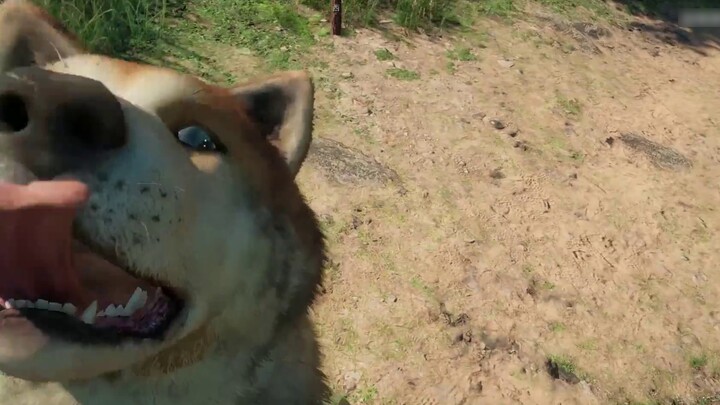 [What game to play] Otaku COS battle Cai Xukun dribbling island godfather fell from the altar 04