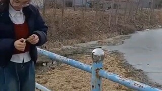 二踢脸