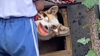 How else can I show my true form?