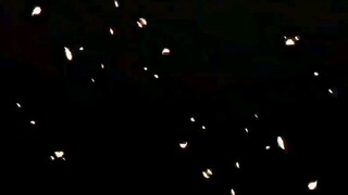 haki bá vương của Luffy