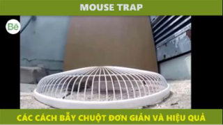 Be1 - bẫy chuột đơn giản hiệu quả