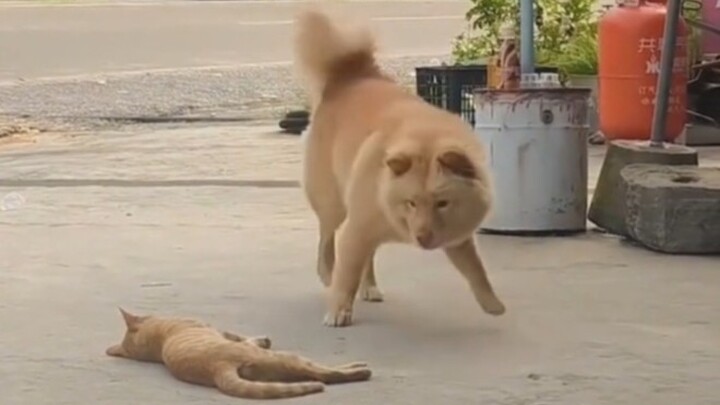 Setelah menonton, tubuh terasa hangat dan nyaman.