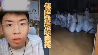 保护动物为什么会变成保护动物？