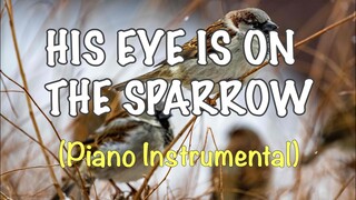 HIS EYE IS ON THE SPARROW (Piano Instrumental) - Heidi Cerna