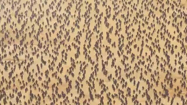 i parry everything season 1 episode 10 in hindi dubbed