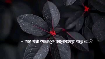 আমি