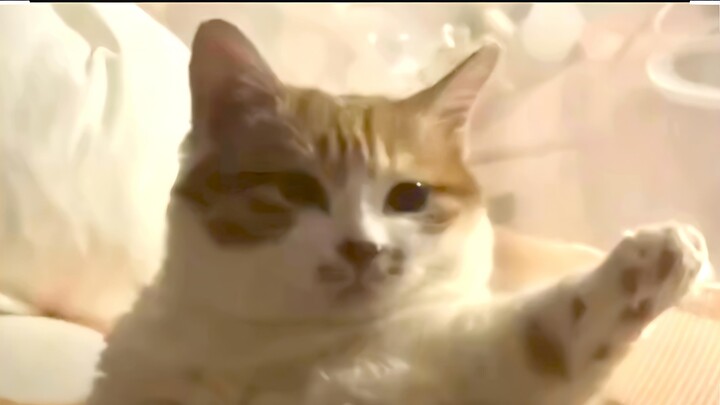 من علّمه هذه الوضعية؟؟