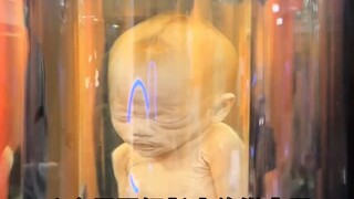 小时候看害怕，长大了看伟大。 致敬大体老师，让我们看到了生命诞生的伟大，敬畏生命，珍爱生命。#国家自然博物馆 #大体老师 #周末去哪玩  #博物馆 #总要来一趟